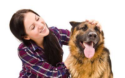 Professional Dog Grooming in Long Beach CA for a Healthier Dog