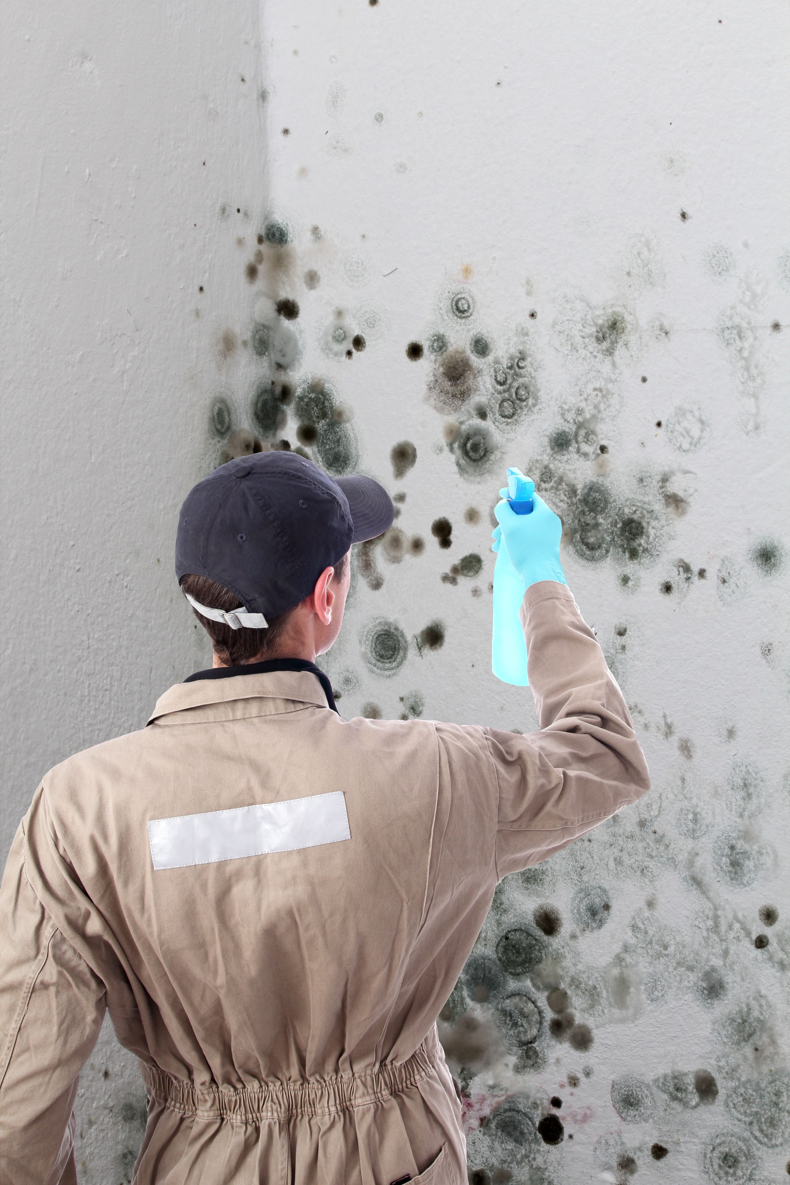 Say Goodbye to Dust and Allergens with Duct Cleaning in Reading, PA