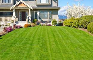 Achieve a Perfect Lawn with Professional Lawn Maintenance Service in Walla Walla, WA.