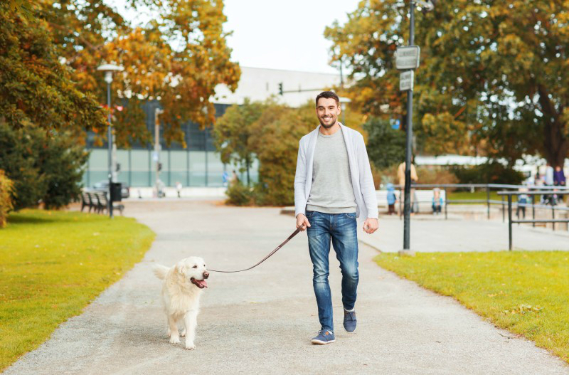 Your Health Matters: 3 Ways Hiring A Dog Walker In New York Can Benefit You