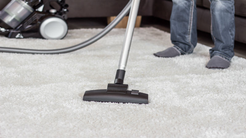 Why Invest In Professional Commercial Carpet Cleaning Services in Raleigh, NC