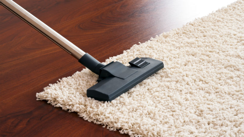 Transform Your Floors with Carpet Washing Services in Worcester, MA