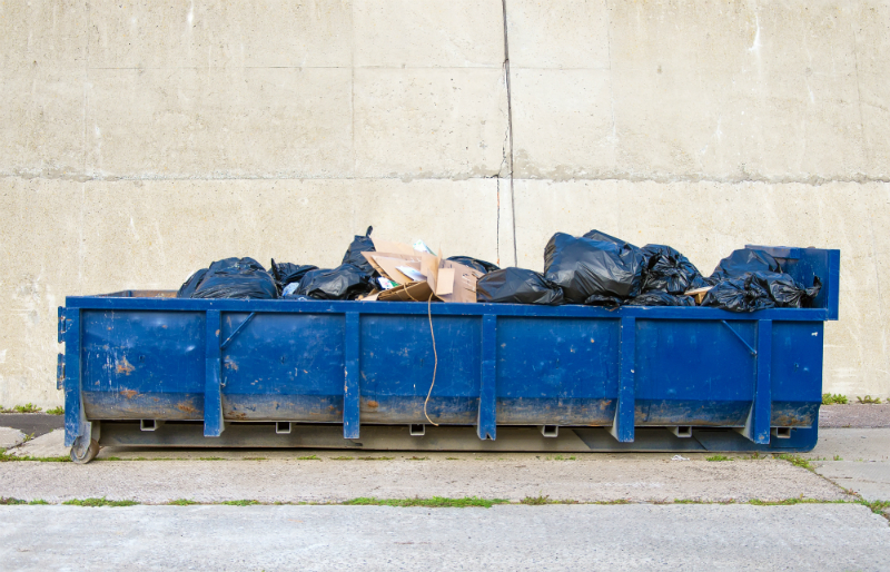 Yard Debris, Tree Removal? Call for Junk Removal in Jersey City