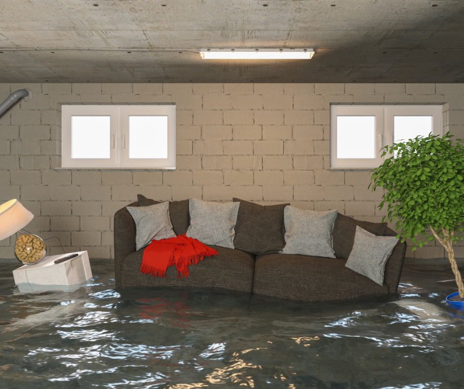 Companies Offering Flood Damage Restoration in Loveland, CO, Help Get You Back on Your Feet Quickly