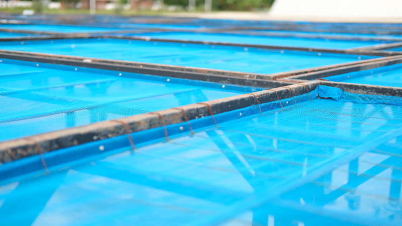 Where You Can Find the Best Pool Cage Screen Replacement in Fort Myers, FL