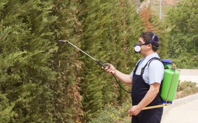 Forms of Insecticide Treatments in Michigan