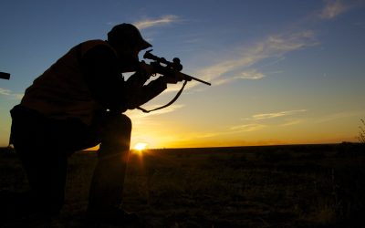 Benefits of Deer Hunting in Utah