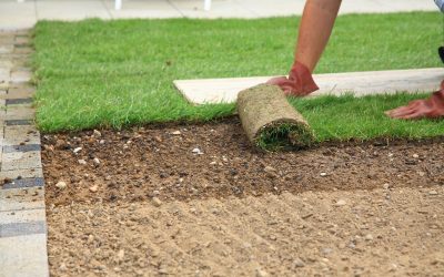 Contact a Lauded Company That Offers Synthetic Lawn Installation in Dallas