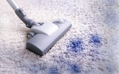 5 Reasons to Hire a Carpet Cleaning Company in North Little Rock, AR