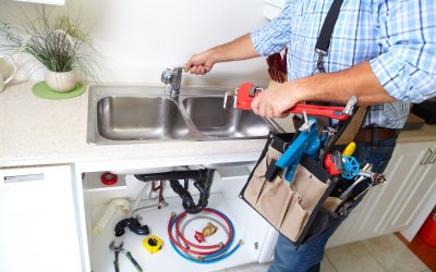 Your Guide to the Importance of Routine Plumbing Maintenance