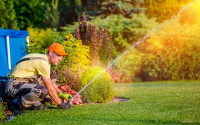 The Importance of Professional Landscaping Companies near Fort Collins, CO