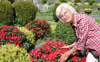 Creating a Beautiful Outdoor Space with Landscaping Construction in Fresno, CA