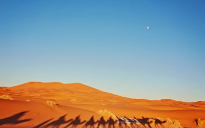 Experience the Sahara’s Allure With 4 Day Tour From Marrakech to Merzouga