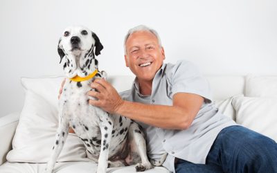 Caring Hands for Your Furry Friends: Your Trusted Pet Hospital in Jacksonville, FL